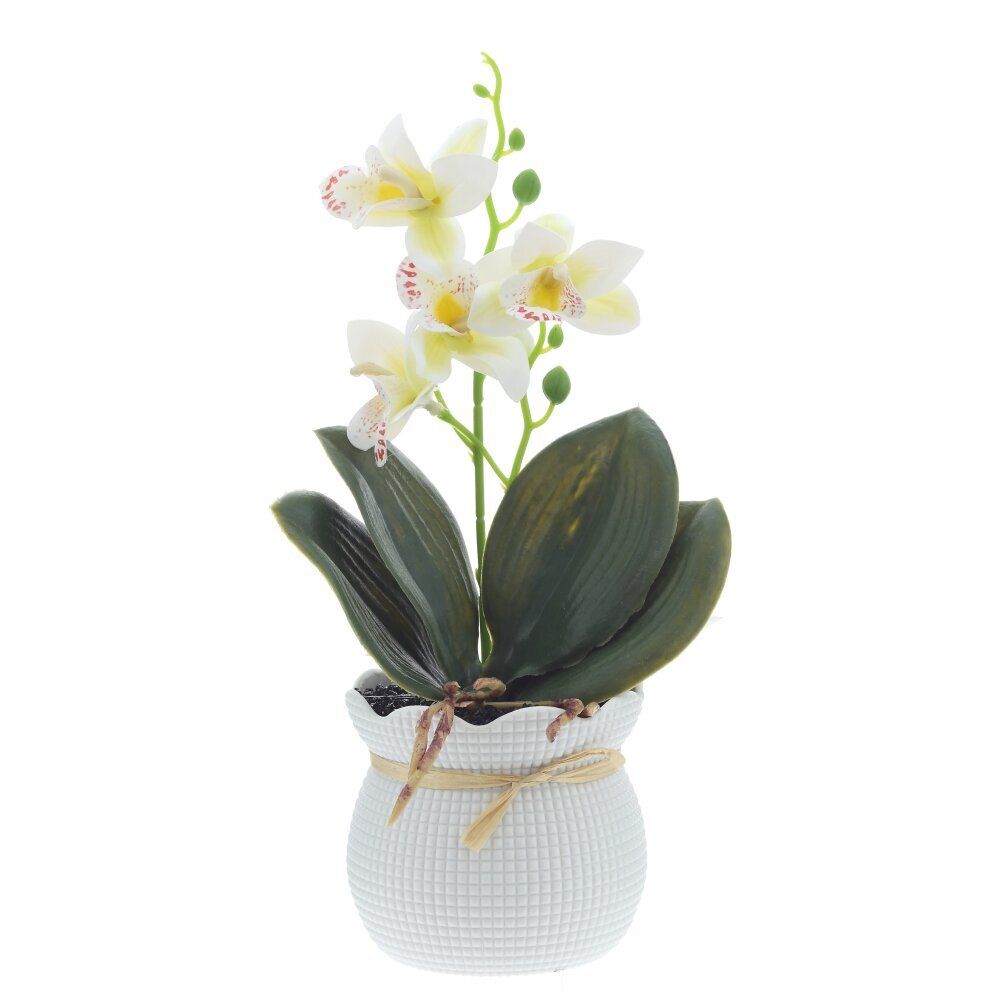 GAEM Цветочная композиция "Орхидея", L13 W12 H29 см