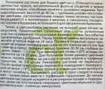 Настурция Везувий низкорослая 0,5 г СМЦ477
