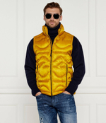 Безрукавка Paul&Shark - горчичный(14312693)