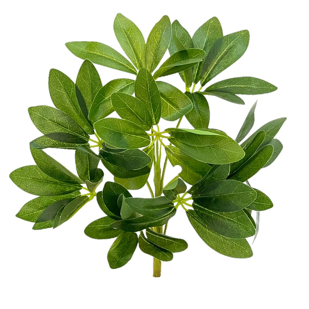 Шеффлера зеленая куст 29 СМ