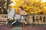 Прогулочная коляска UPPAbaby Cruz V2 STELLA