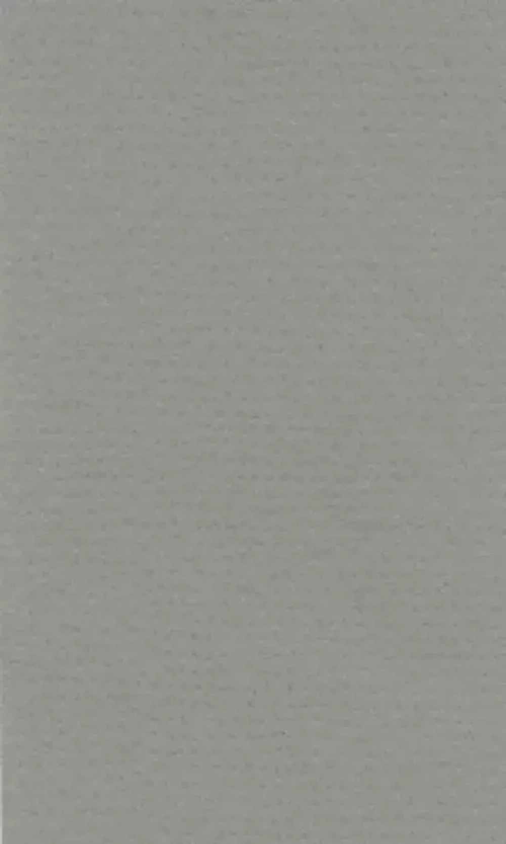 Бумага для пастели «Lana Colours»  А3 (42х29,7 см) 160 г/м²