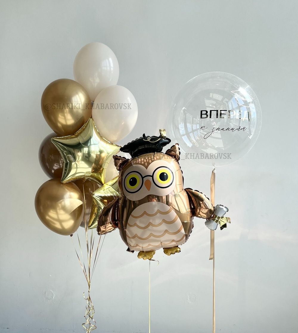 Шары на 1 сентября с совой, прозрачным шаром «Вперёд к знаниям» и золотыми акцентами 