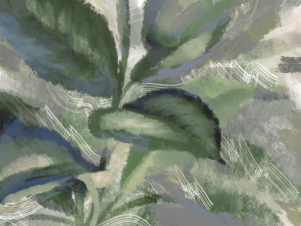 Коллекция ALIVE