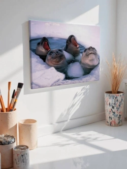 Картина на стену 40 X 50 Тюлени