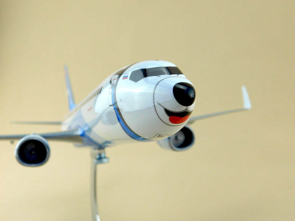 Модель самолета Boeing 737-800 (М1:100, Nordstar Лайка)