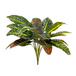 Кодиеум куст 45 см