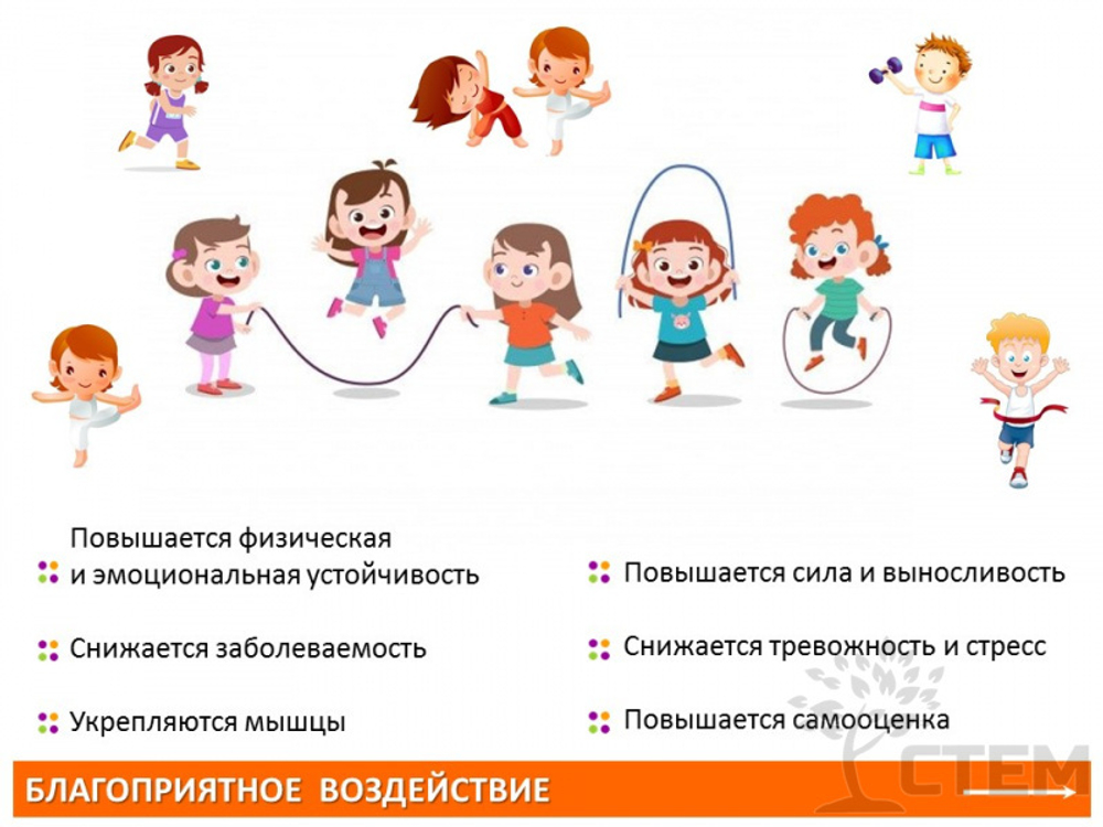 Спортивный инвентарь. Балансировочный тренажор