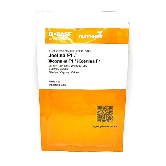 Жоэлина F1 семена огурца партенокарпического (Nunhems / Нюнемс) – фото 4