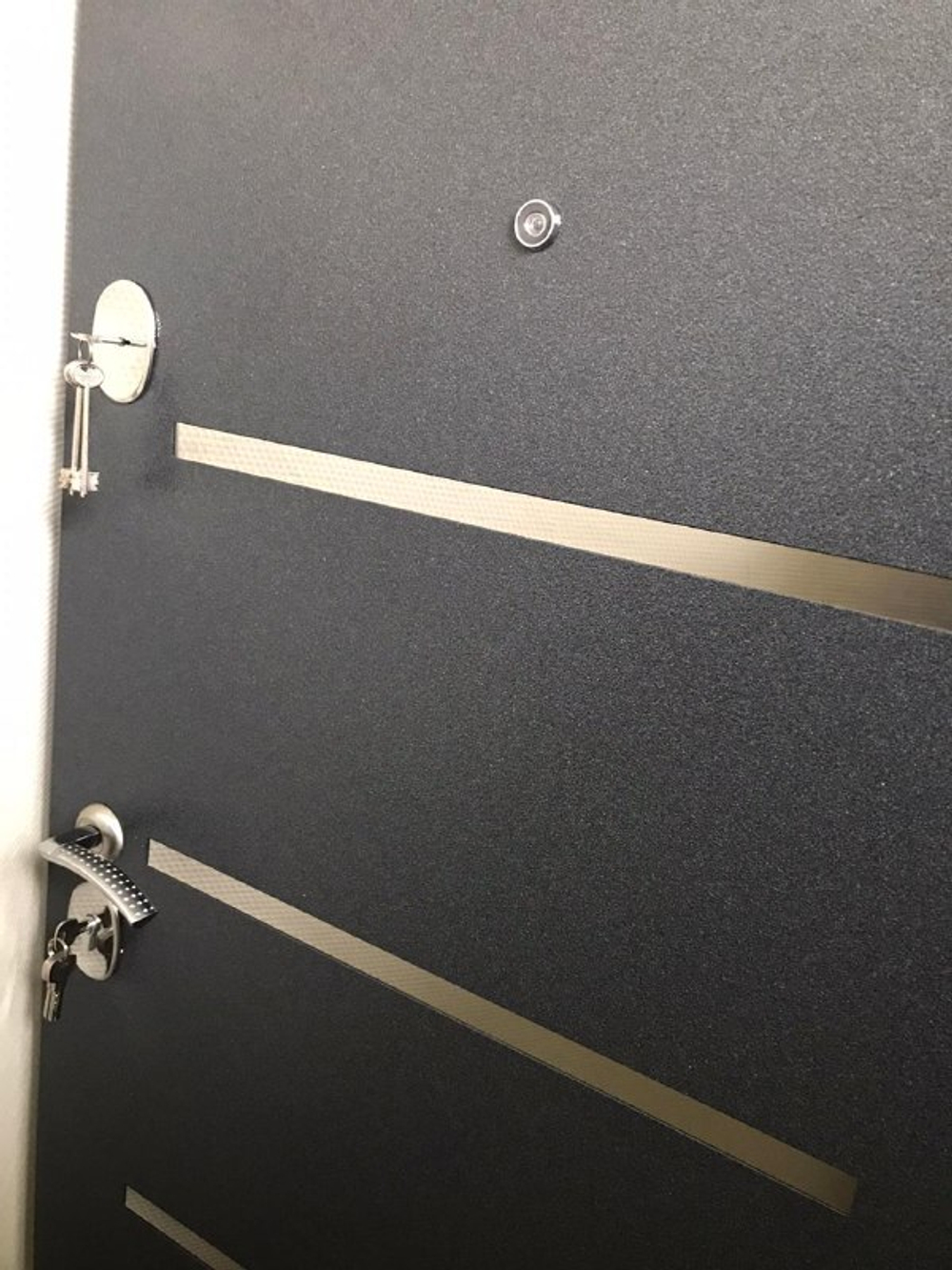 Дверь входная Токио