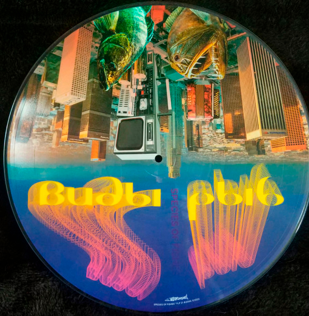 Виды Рыб / Species Of Fishes (Picture Disc)(LP+CD)