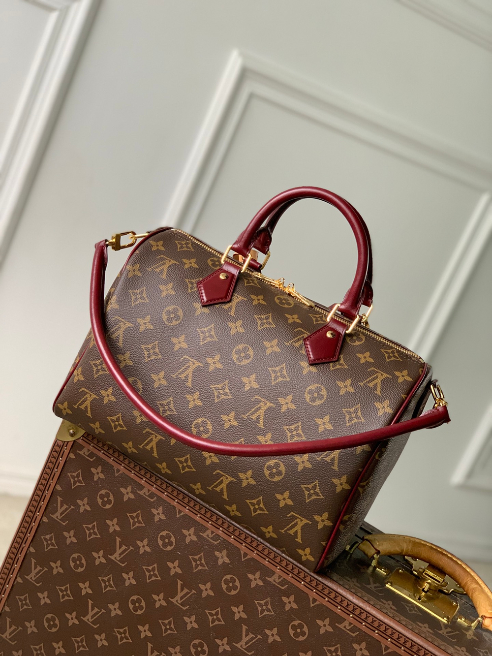 Louis Vuitton Speedy Soft 30