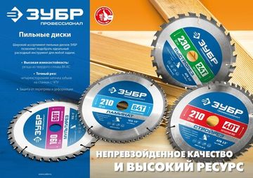 ЗУБР Чисторез, 200 x 32 мм, 48Т, пильный диск по дереву, Профессионал (36905-200-32-48)