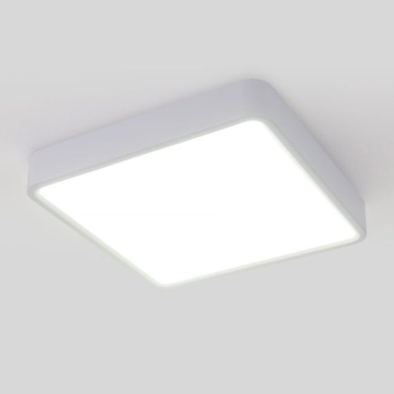 Потолочный светодиодный светильник Elektrostandard DLS034 18W 4200K a043017