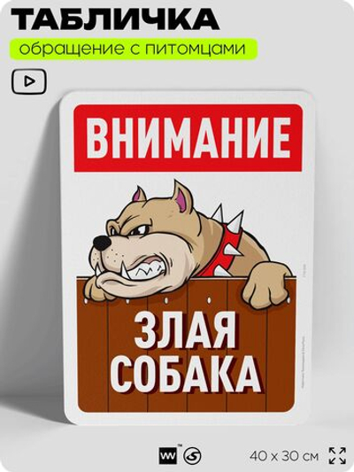 Табличка "Внимание, злая собака" на дверь и забор, для двора, дома, подъезда, 40х30 см, Silver Plane x Айдентика Технолоджи