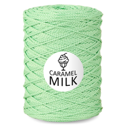 Шнур Caramel Milk, 3мм, 300м, 100% полиэфир (1 шт.)