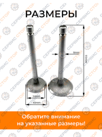 B119-186F-RT (2)
