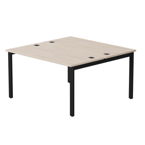 Бенч-система на 2 места Everprof EVO на металлокаркасе 1380х670(1370)x755