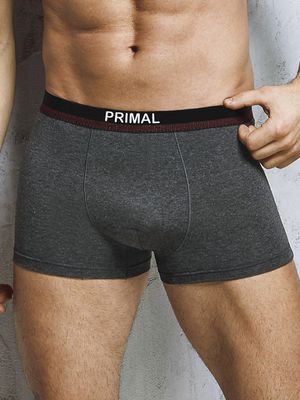 Мужские трусы B1654 Boxer Primal