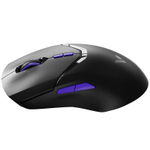 Мышь Wireless Rapoo VT9Pro4K