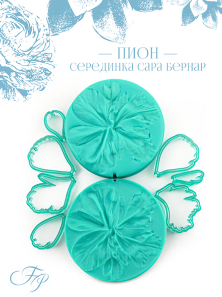 Пион серединка Сара Бернар