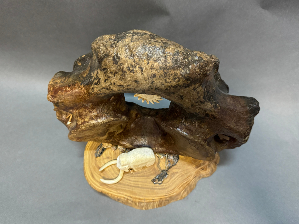 Первобытный мир