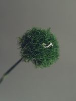 Кольцо фактурное V