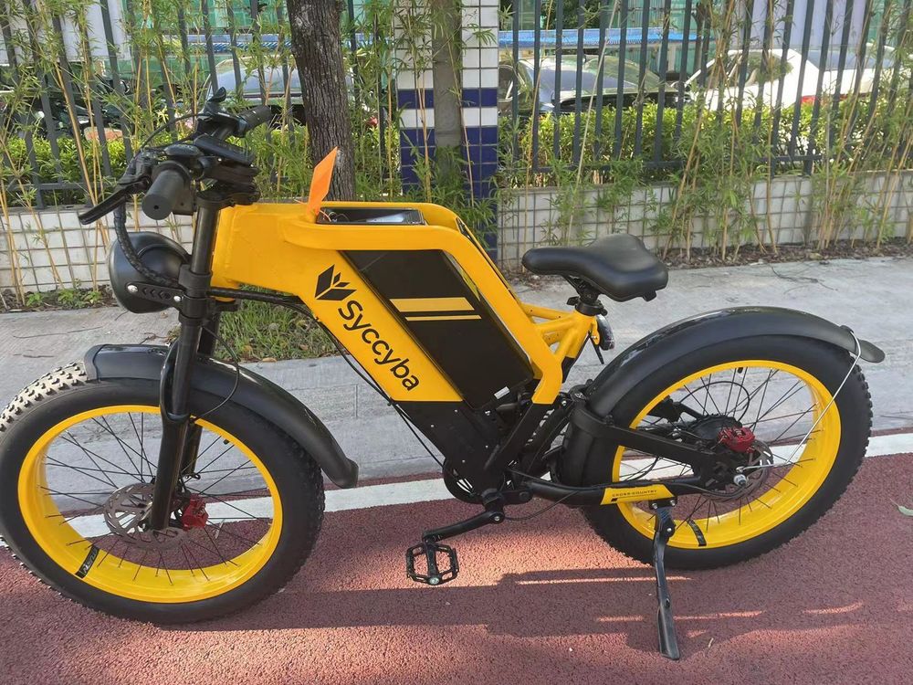 Электровелосипед Syccyba Eclipse (48V/35Ah) Спицы фото №1