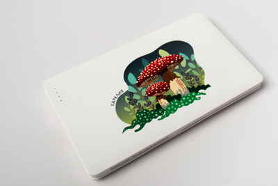 Внешний аккумулятор (powerbank) «Карелия», в ассортименте