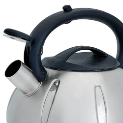 Чайник со свистком 3 л из нержавеющей стали, индукционное дно WEBBER BE-0569/1 сатин, черный