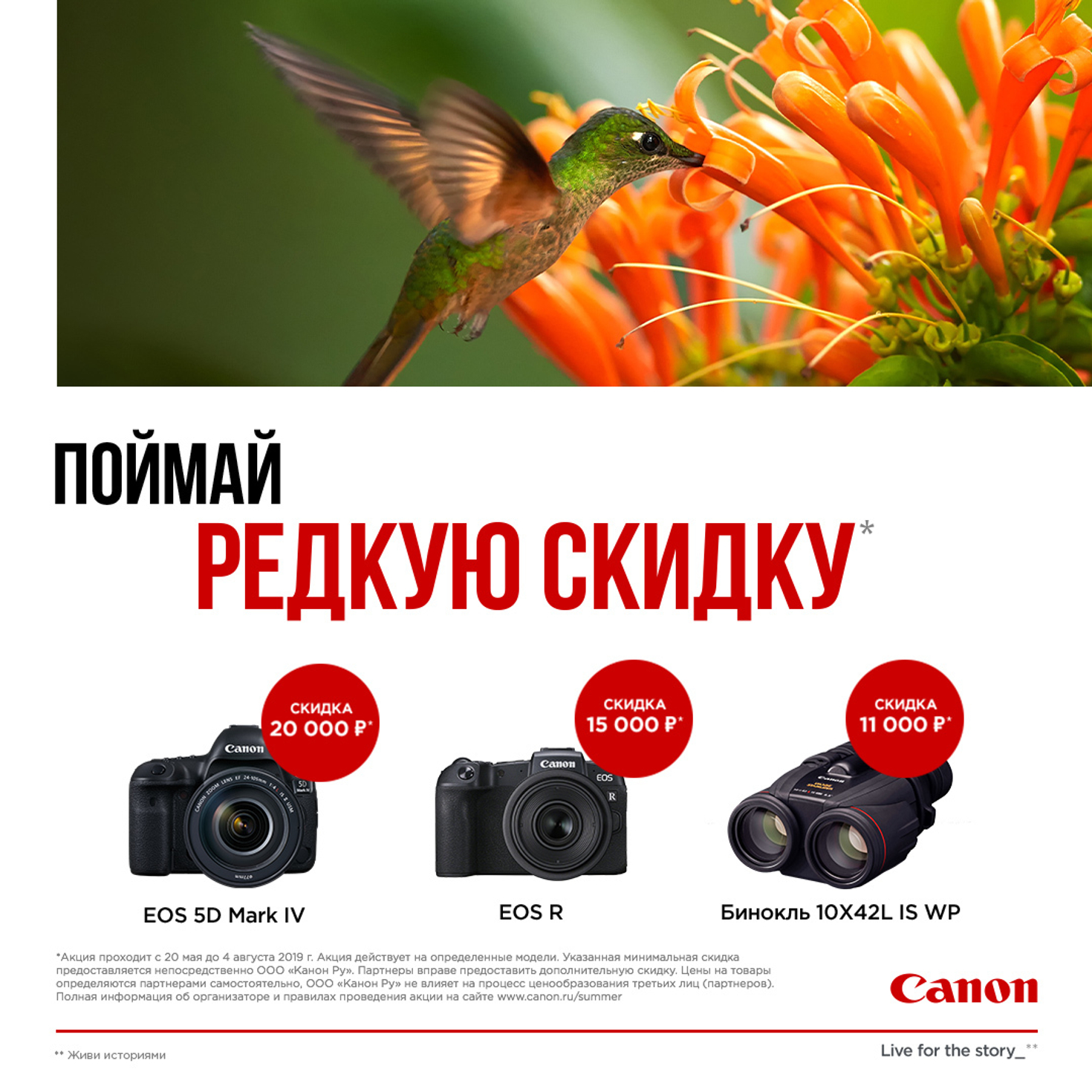 Canon | Поймай редкую скидку!