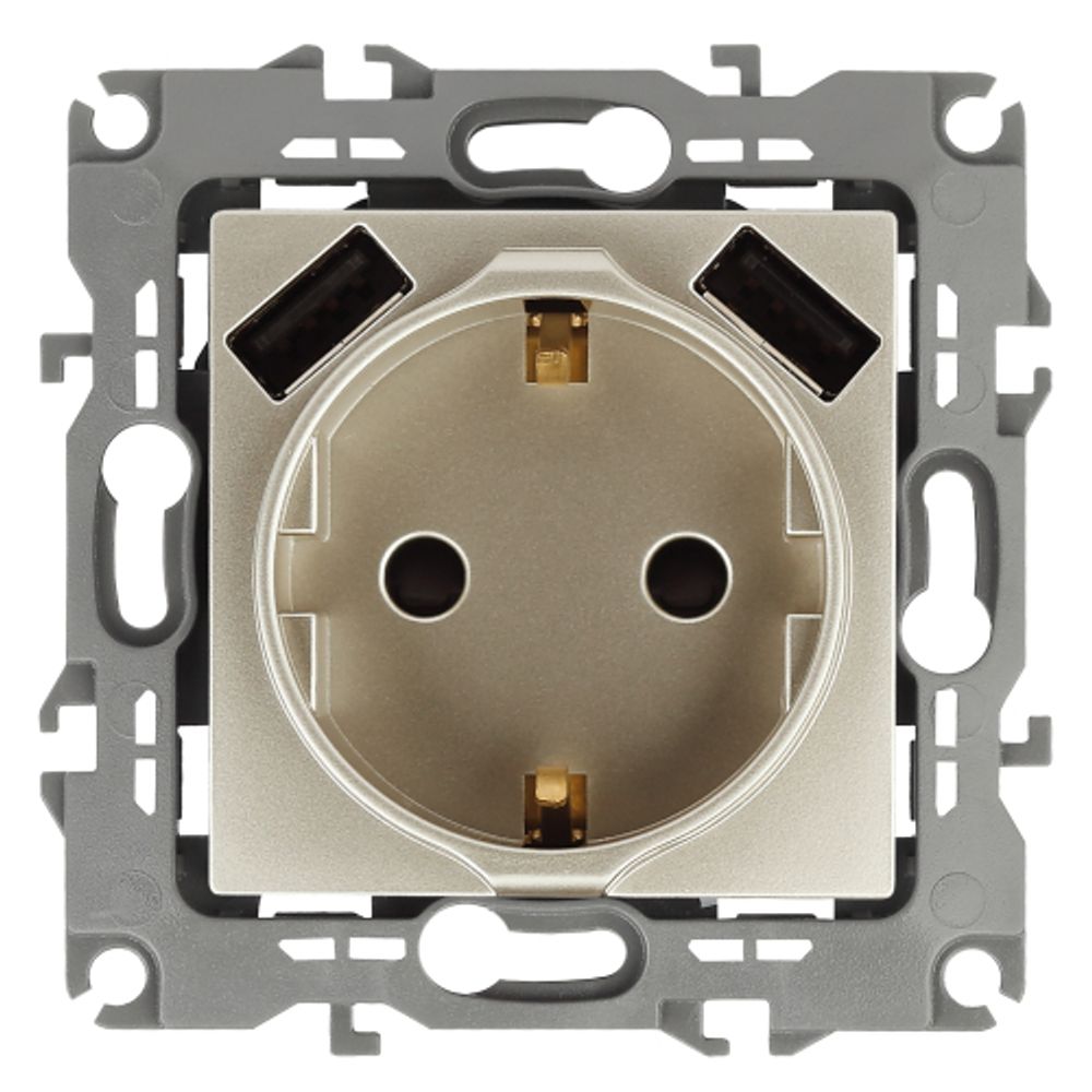 12-4109-04 ЭРА Розетка 2P+E 16A-250В, штор. с 2xUSB 5В-3А, Эра12, шампань | Эра 12 Шампань