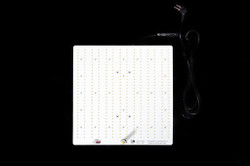 LED лампа Rootster (ex. Big Cock Design) Quantum Board Firefly 2.0 150W