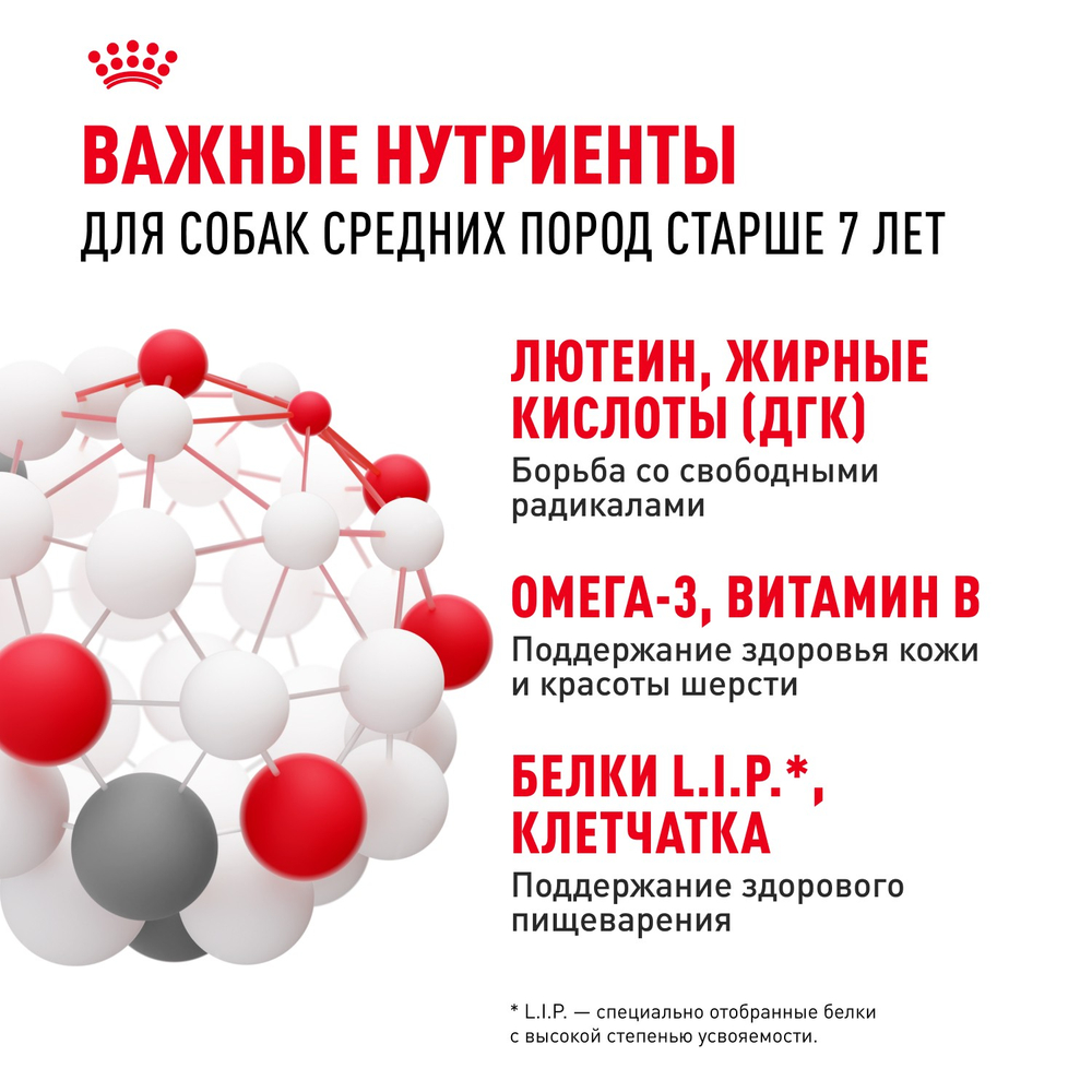 Royal Canin Medium Adult 7+ Медиум Эдалт Корм сухой для взрослых собак средних размеров от 7 лет и старше 4кг