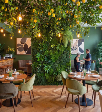 Потолочное озеленение