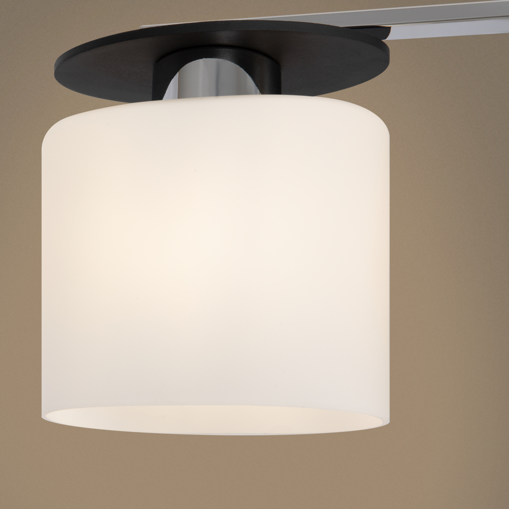 Потолочный светильник Freya FR5101-CL-03-CN