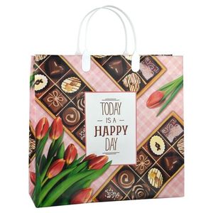 Сумка пластиковая ручка Россия 30*30 см 150 мкм Шоколатье 1 шт 40 шт/кор