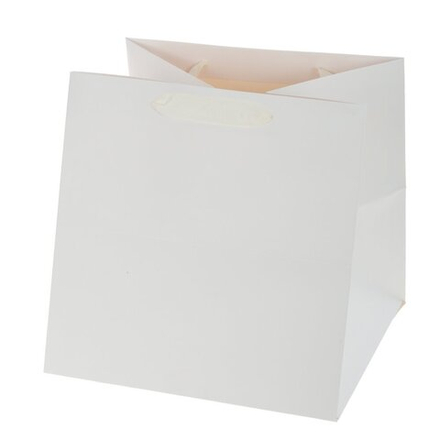 GAEM Пакет подарочный (бумага, плотность 250г/м2, блок 12шт), L25 W25 H25 см