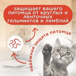 Таблетки от гельминтов Дирофен для кошек и собак 6табл по 200мг