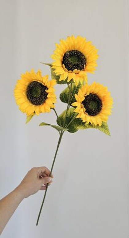 Подсолнух / Арт 2647