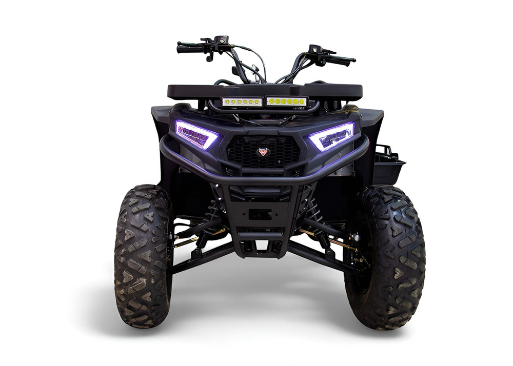 Квадроцикл MOTAX Grizlik W200