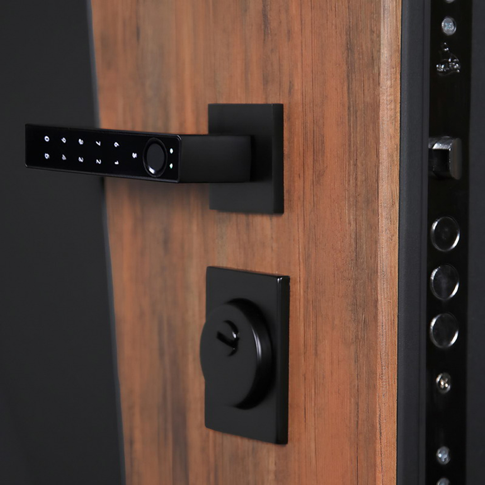 Стальная дверь "Макс 3D" с зеркалом (умная дверная ручка). Заказная модель.