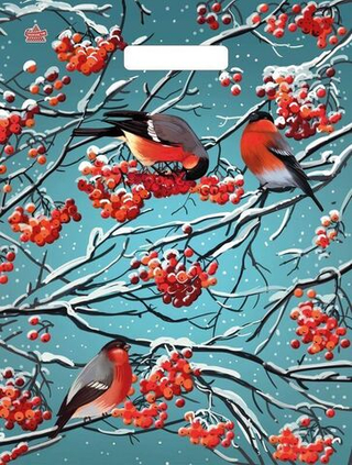 Пакет ВУР 31*40см НГ 60мкм Снегири на рябине 1 шт