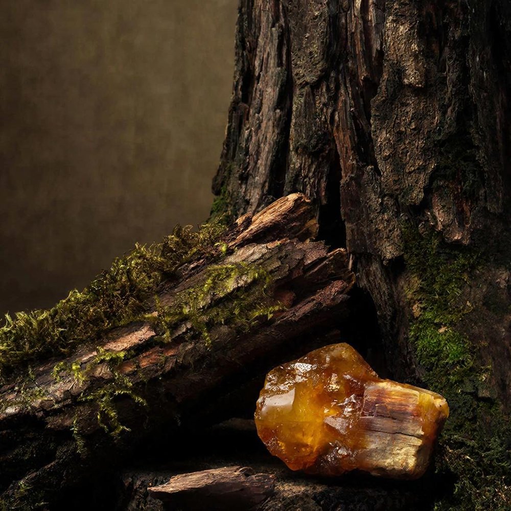 Марокканская Амбра