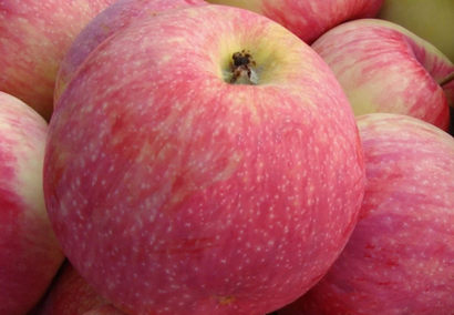 Выращено в Лен.области ЗКС