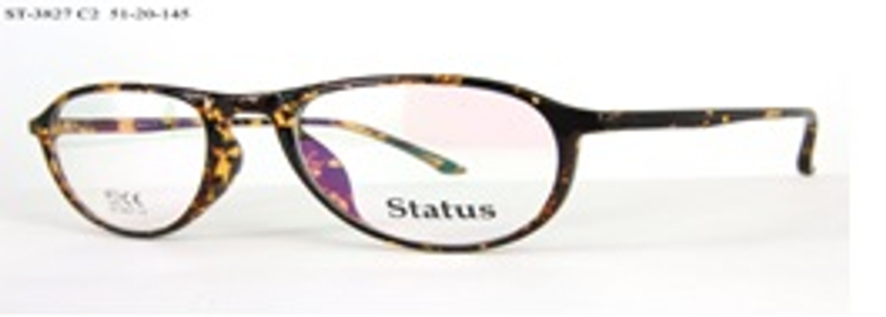 ОправаStatus 3827с2