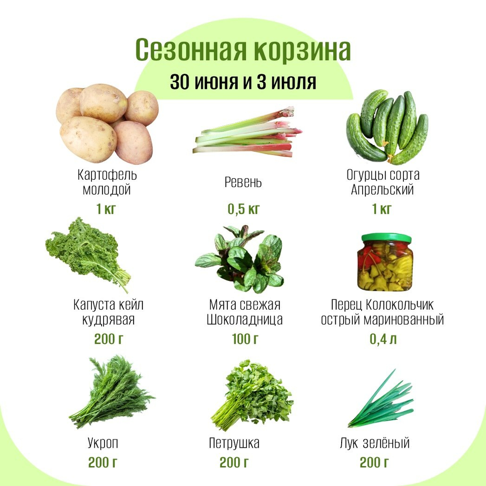 Сезонная корзина
