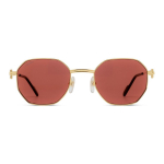 Очки CARTIER, CT0500S002