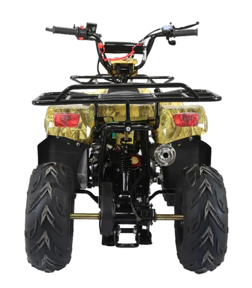 Квадроцикл ATV Termit TT