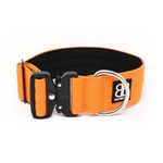 Ошейник Combat 5 см BullyBillows